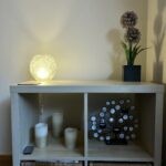 Allium9