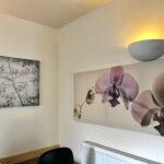 Orchid5